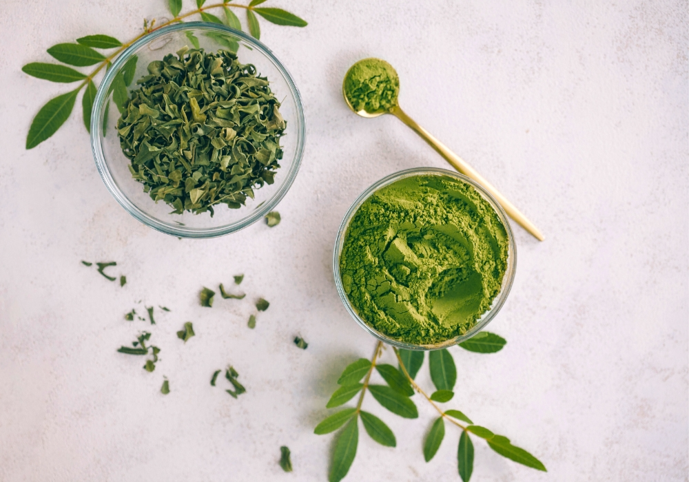 Grüntee-Extrakt – stilisierte Illustration